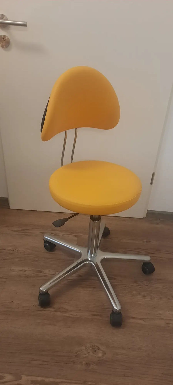 Drehrollhocker Ponychair gebraucht mit Rückenlehne